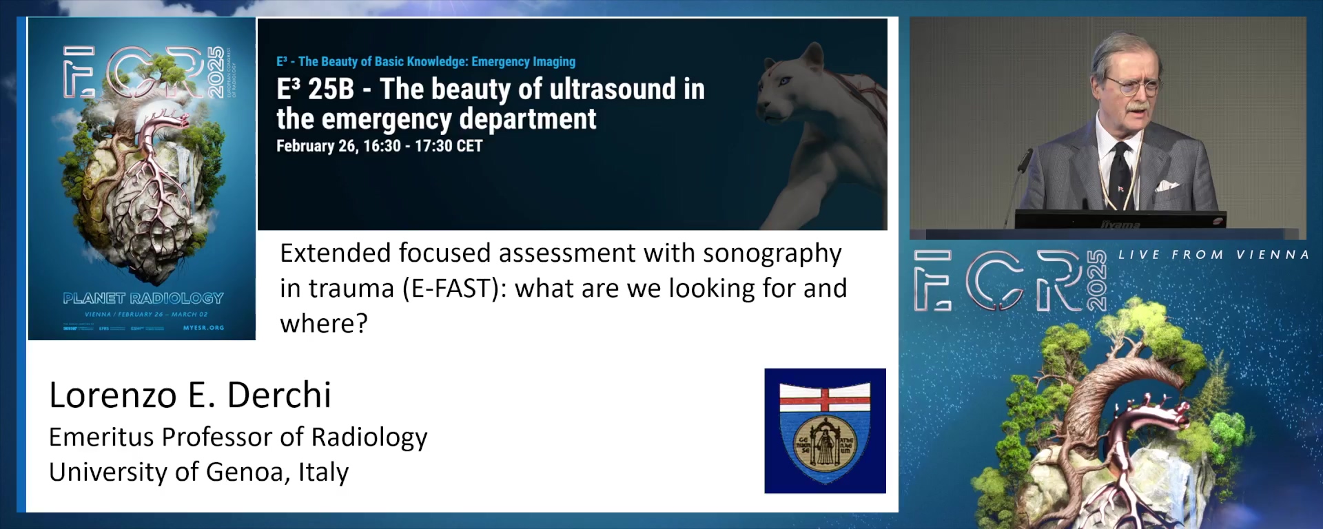 Extended focused assessment with sonography in trauma (E-FAST): what are we looking for and where?