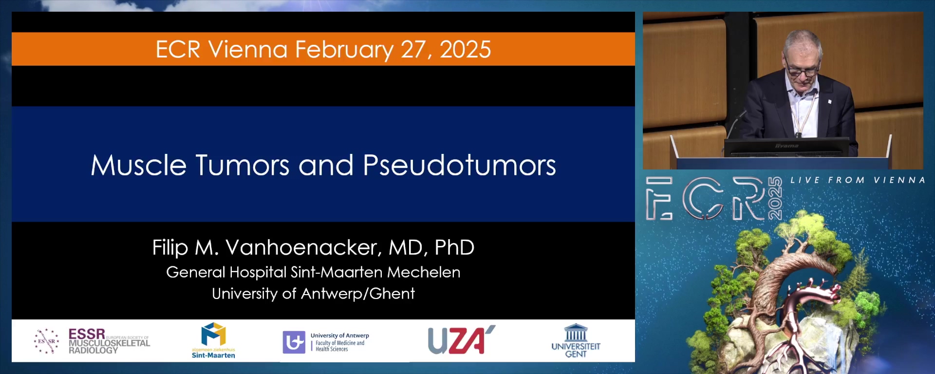 Muscle tumours and pseudotumours