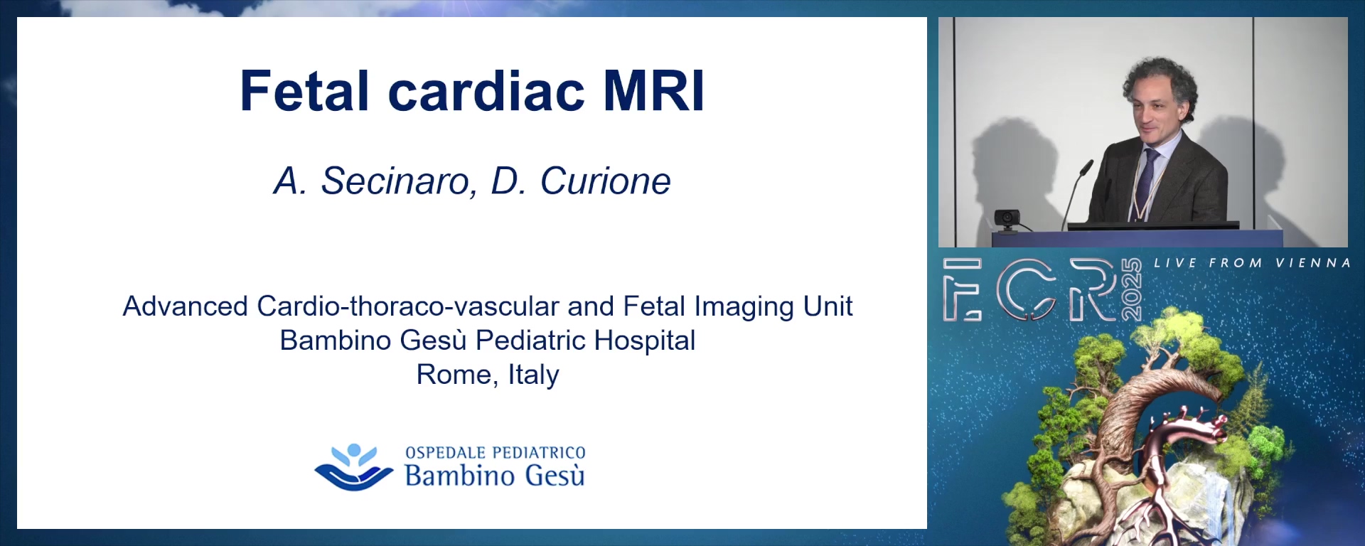 Foetal cardiac MRI