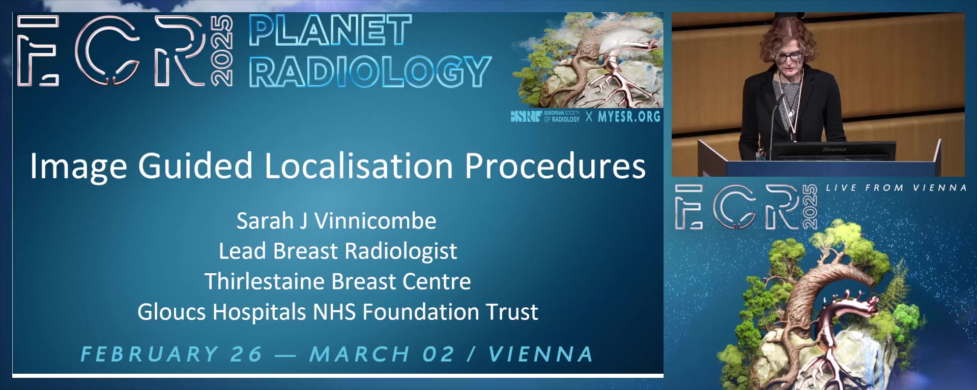 Image-guided localisation procedures