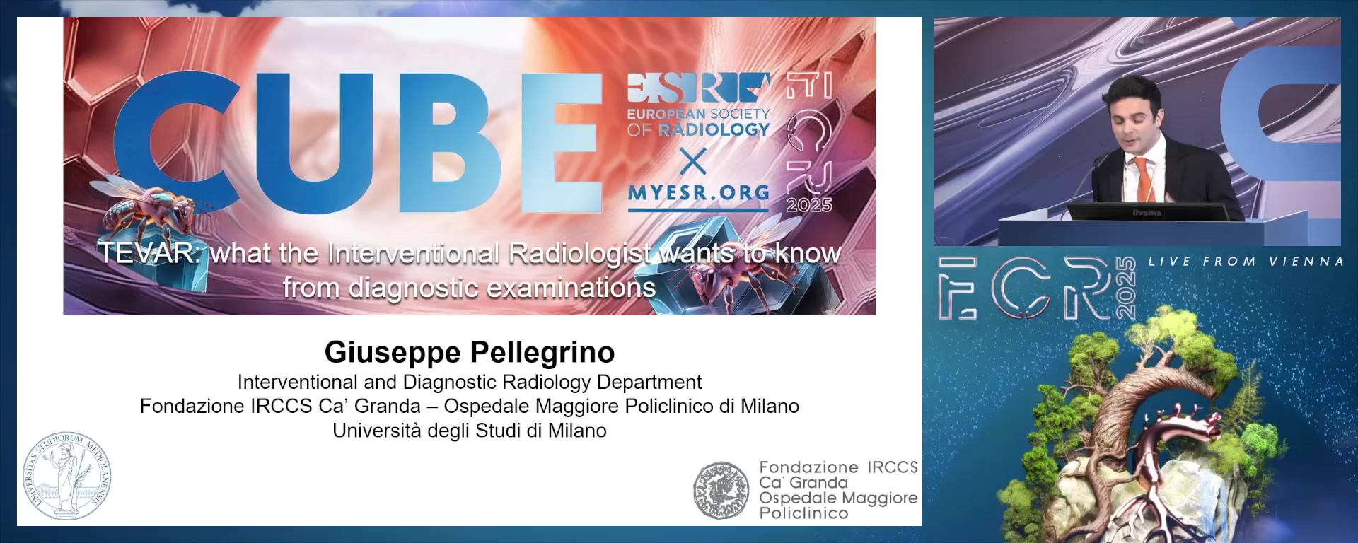 TEVAR: what interventional radiology wants to know from diagnostic examinations