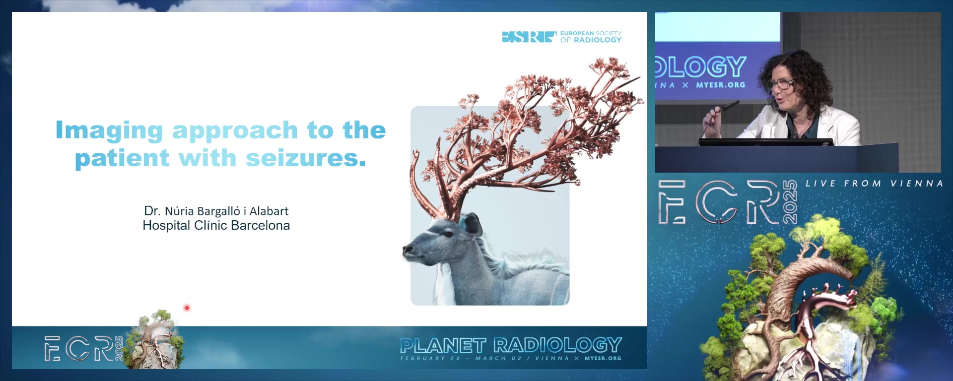 An imaging approach to the patient with seizures