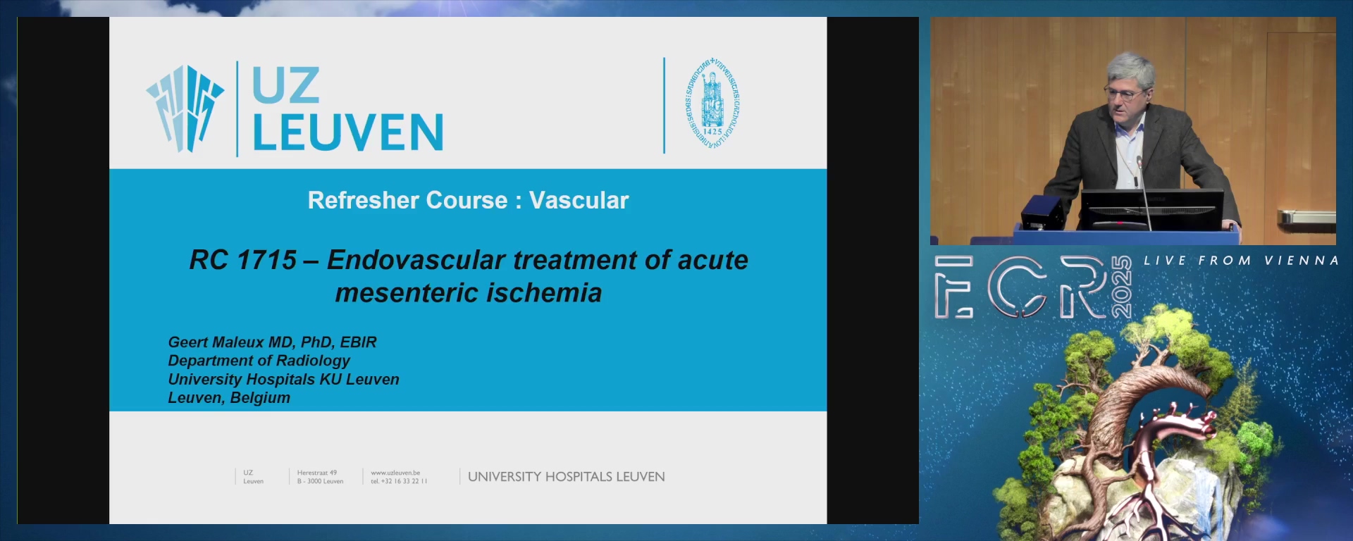 Endovascular therapy of acute mesenteric ischaemia
