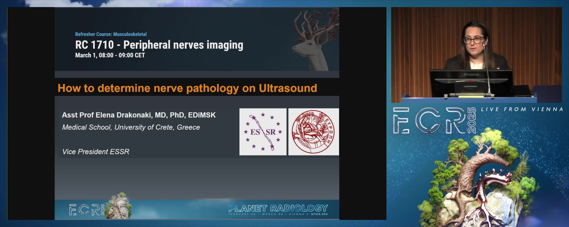 How to determine nerve pathology on US