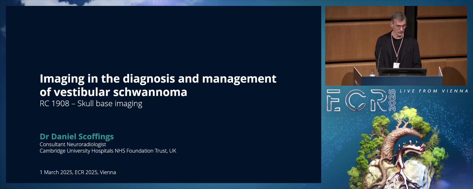 Imaging in the diagnosis and management of the vestibular schwannoma