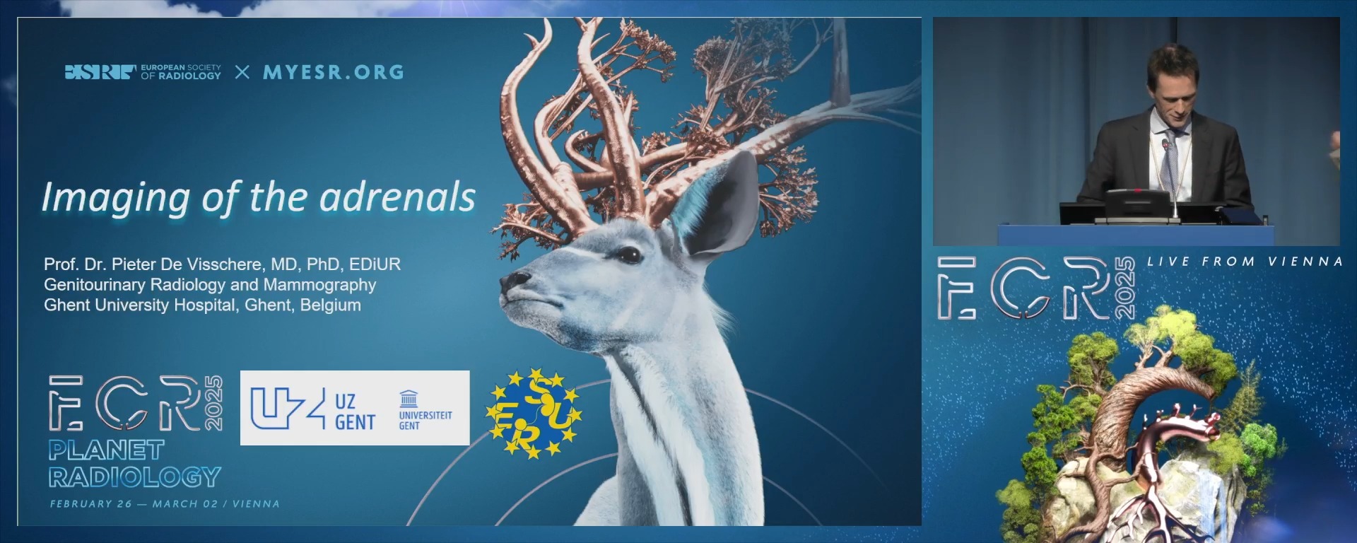 Imaging of the adrenals