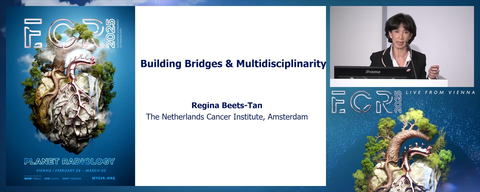 Building bridges and multidisciplinarity