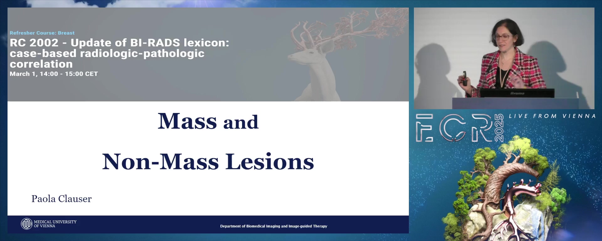 Mass and non-mass lesions