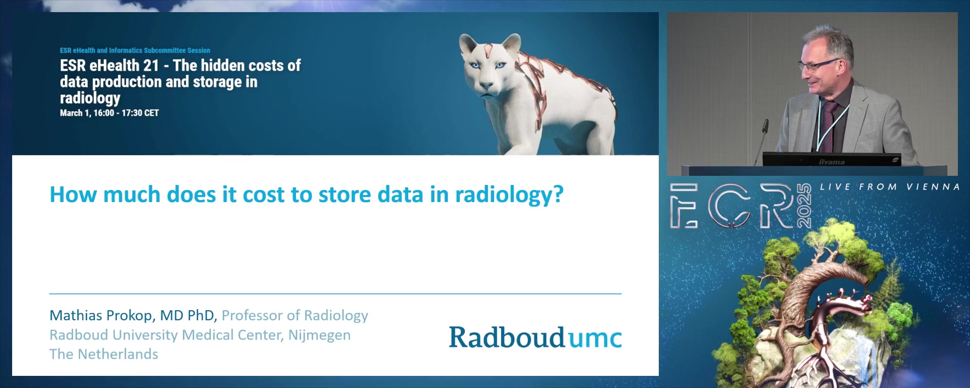 How much does it cost to store data in radiology?