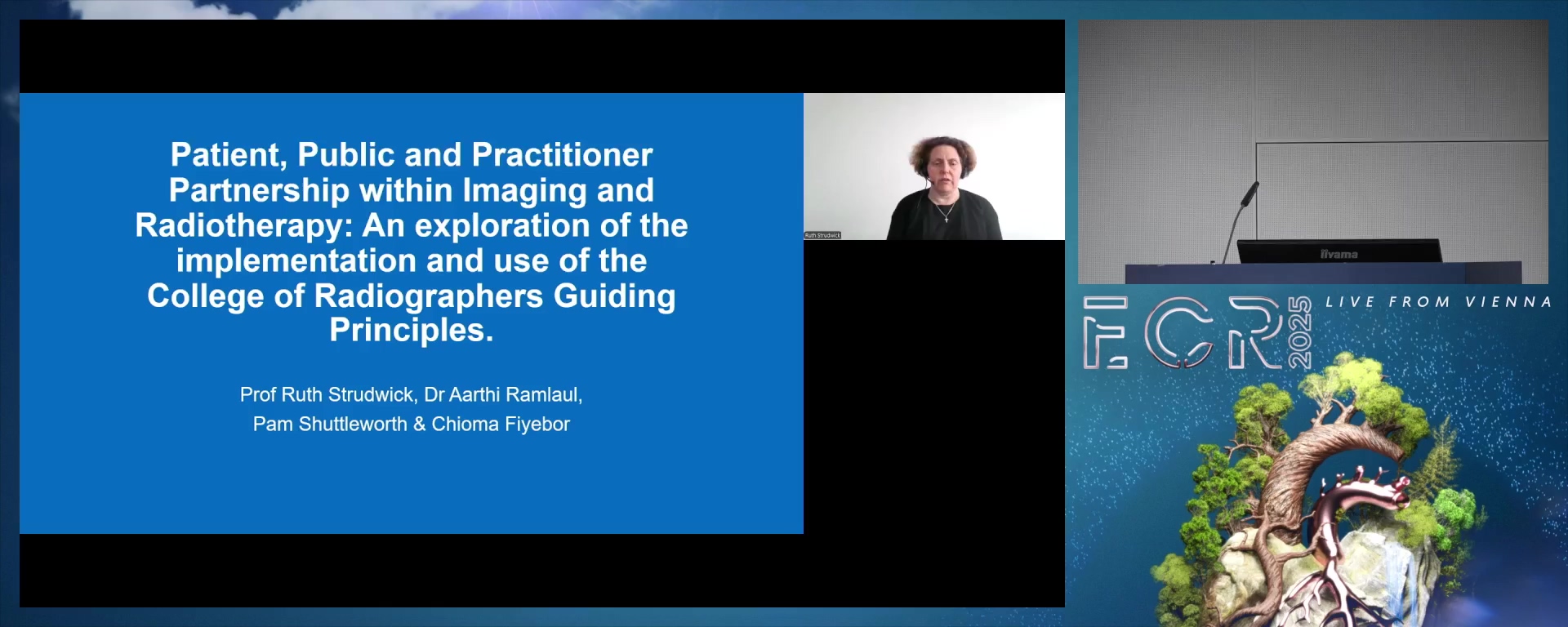 Patient, Public and Practitioner Partnership within Imaging and Radiotherapy: An exploration of the implementation and use of the College of Radiographers Guiding Principles