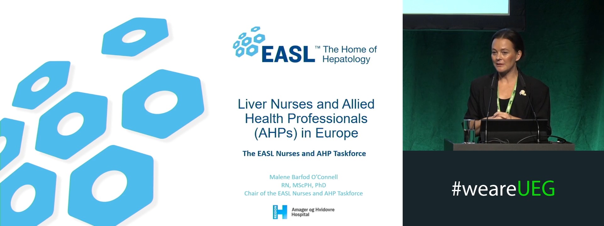 Liver nurses and allied health professions in Europe: The EASL taskforce