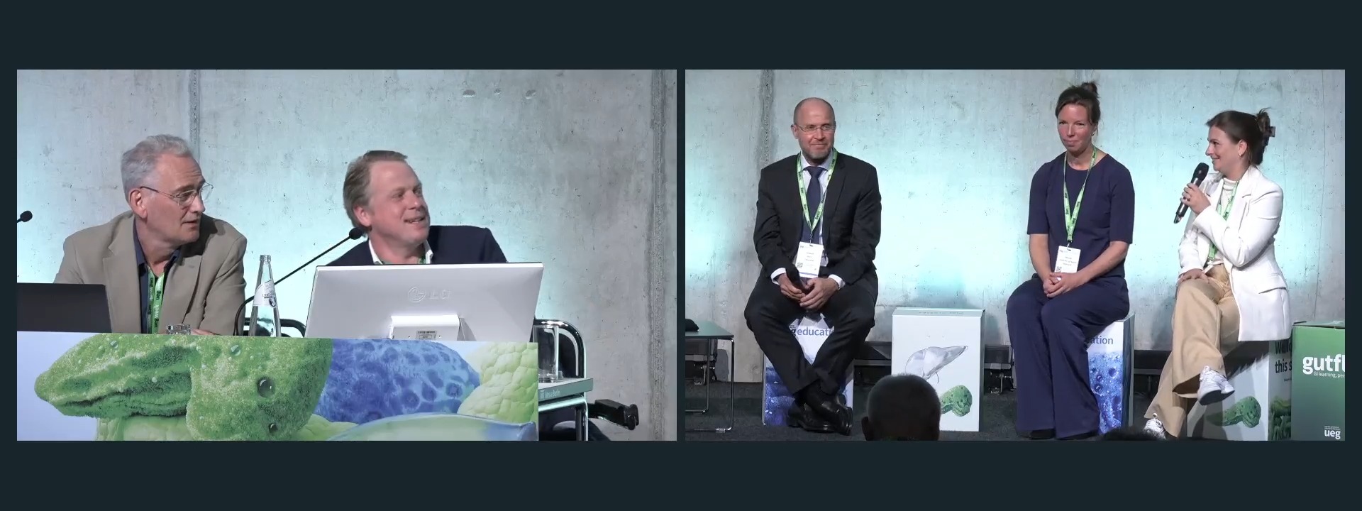 Panel discussion: Acute and chronic mesenteric ischemia