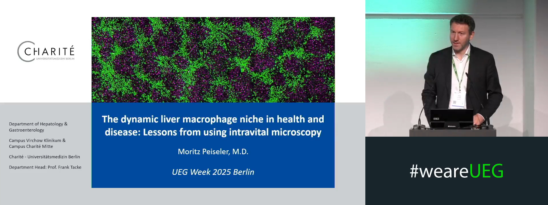 The dynamic liver macrophage niche in health and disease: Lessons from using intravital microscopy