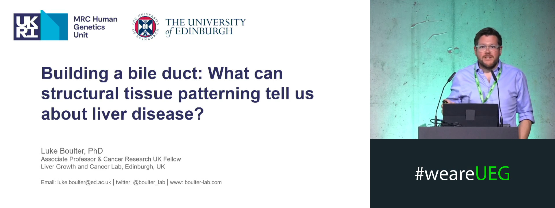 Building a bile duct: What can structural tissue patterning tell us about liver disease?
