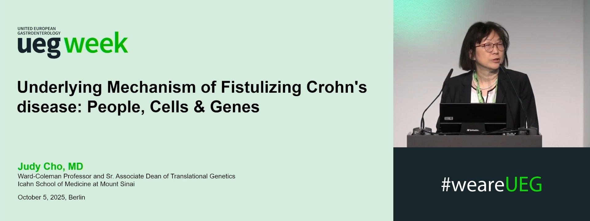Fistulising Crohn's disease: Underlying mechanism