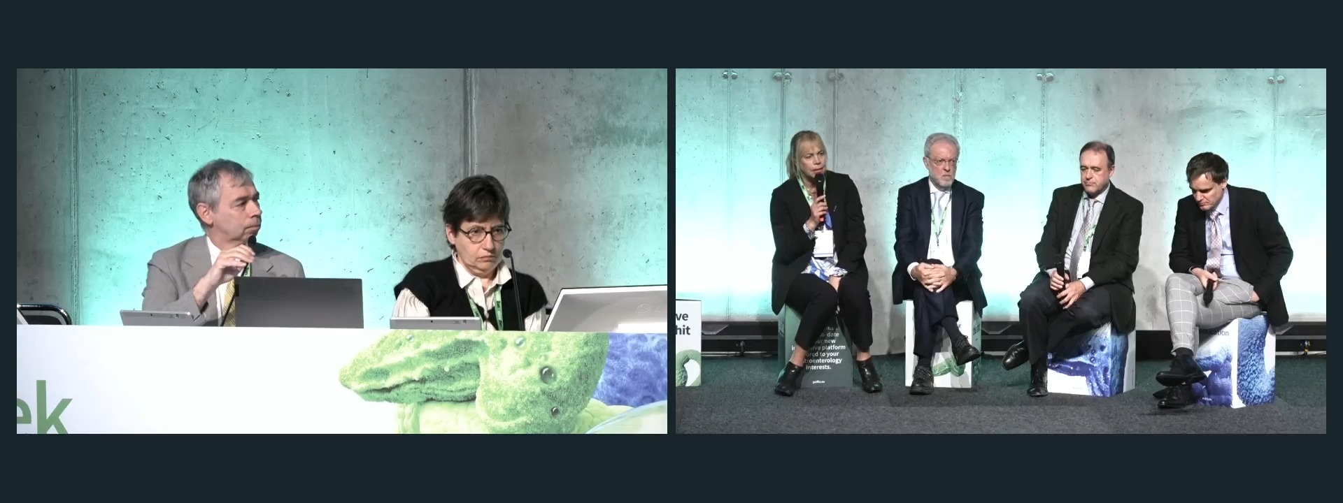 Panel discussion: Therapy update - EoE