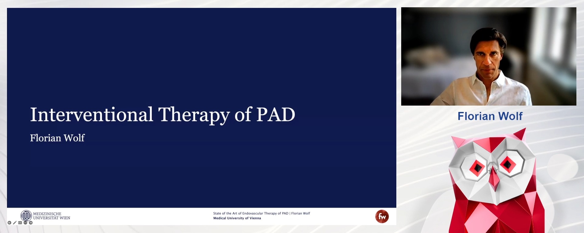 State of the Art of Endovascular Therapy of Peripheral Arterial Disease
