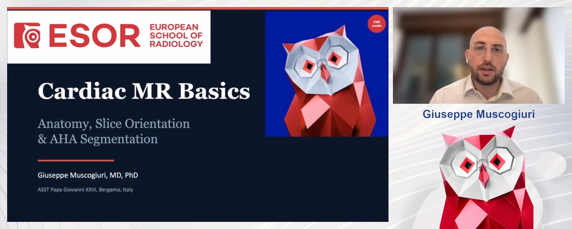 Cardiac MR Basics: Anatomy, Slice Orientation & AHA Segmentation