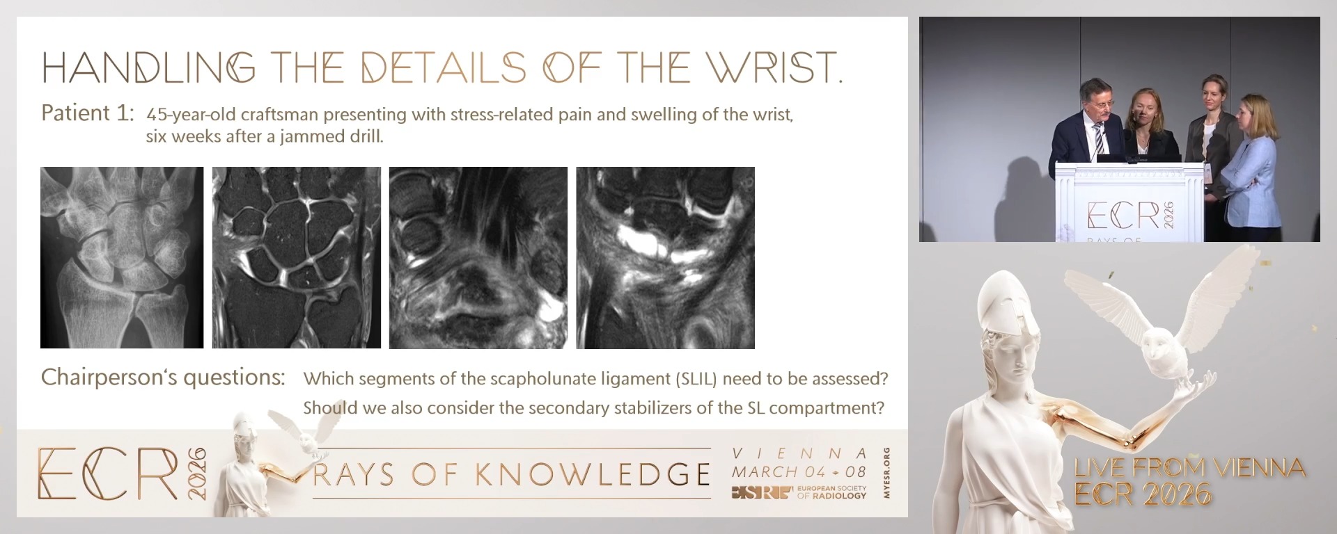 Panel discussion: How detailed do we need to report changes to the wrist?