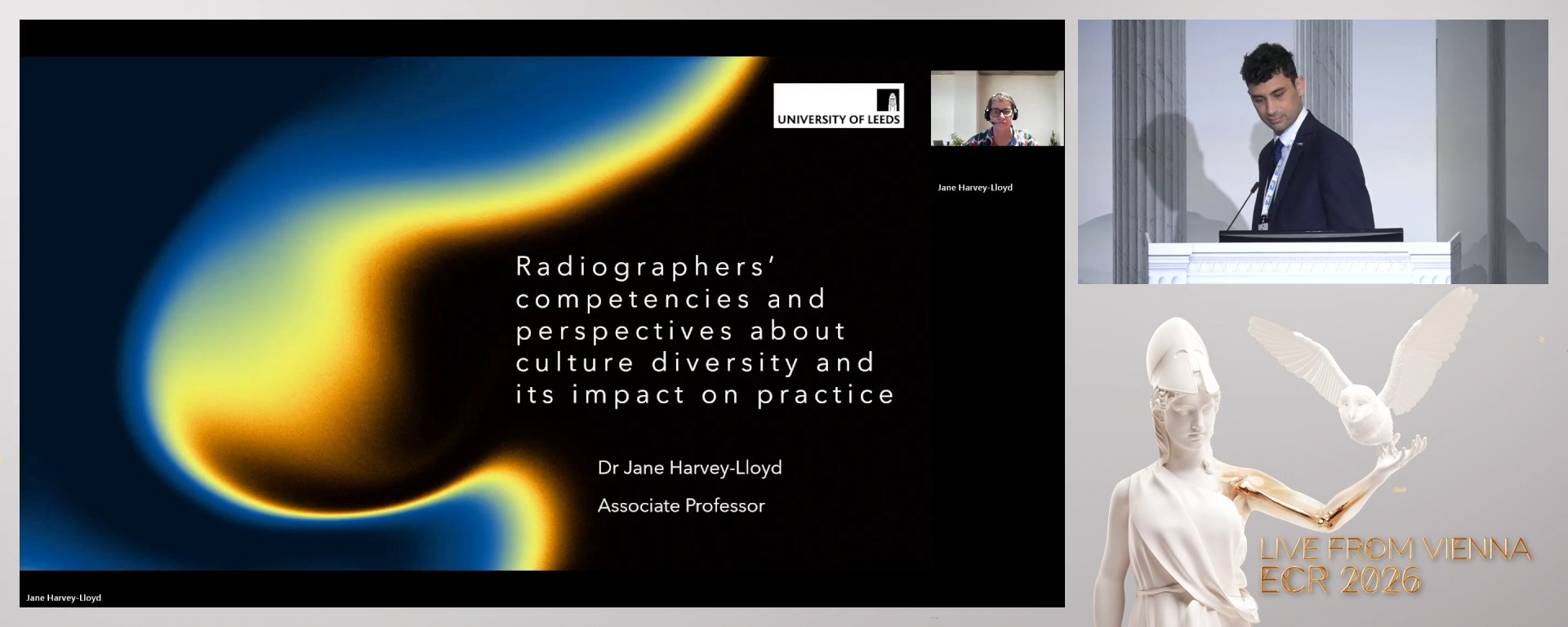 Radiographers’ competencies and perspectives about culture diversity and its impact on practice