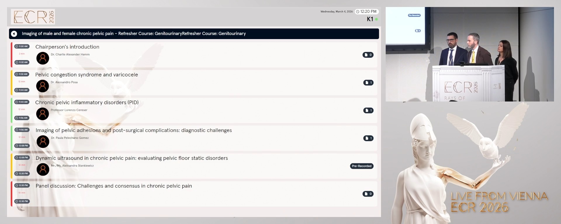 Panel discussion: Challenges and consensus in chronic pelvic pain