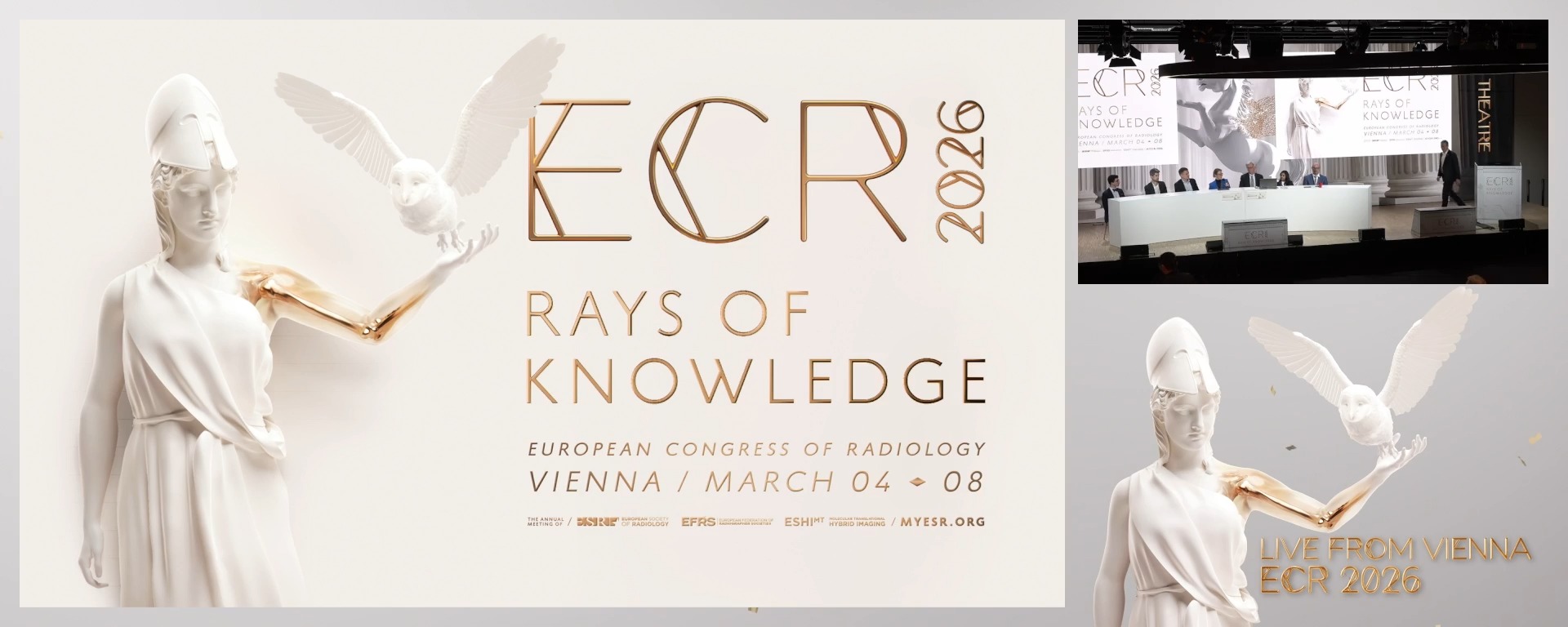 Panel discussion: What are your gains and pains