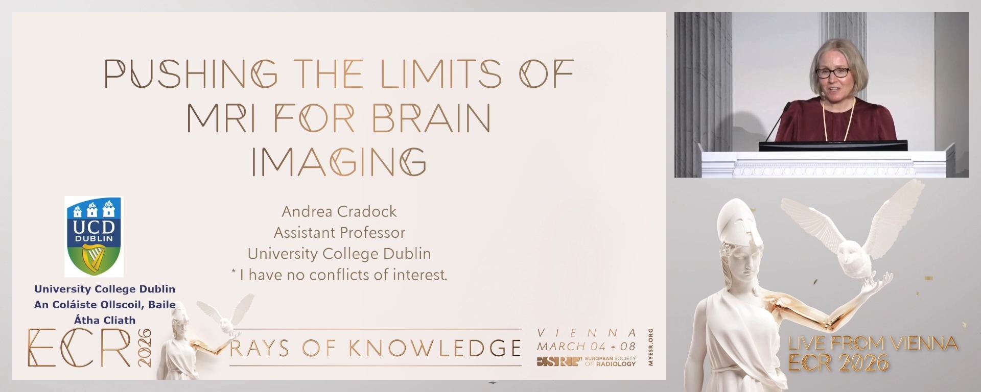 Pushing the limits of MRI for brain imaging