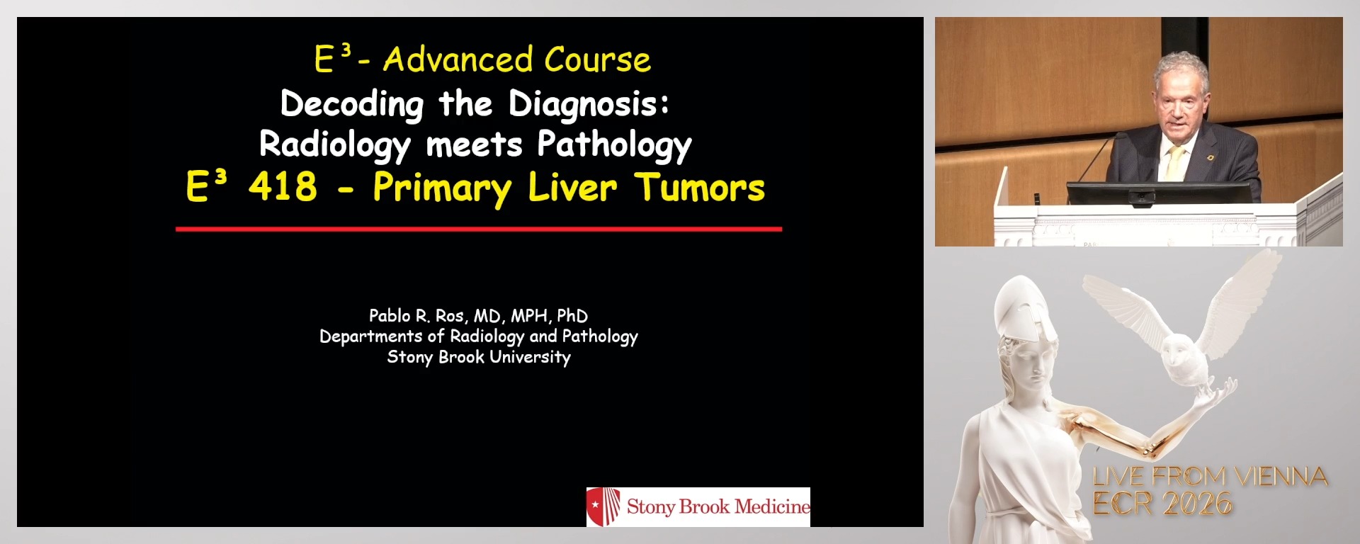 Chairperson's introduction