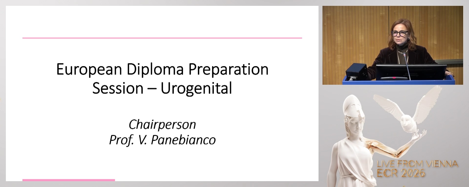 Chairperson's introduction