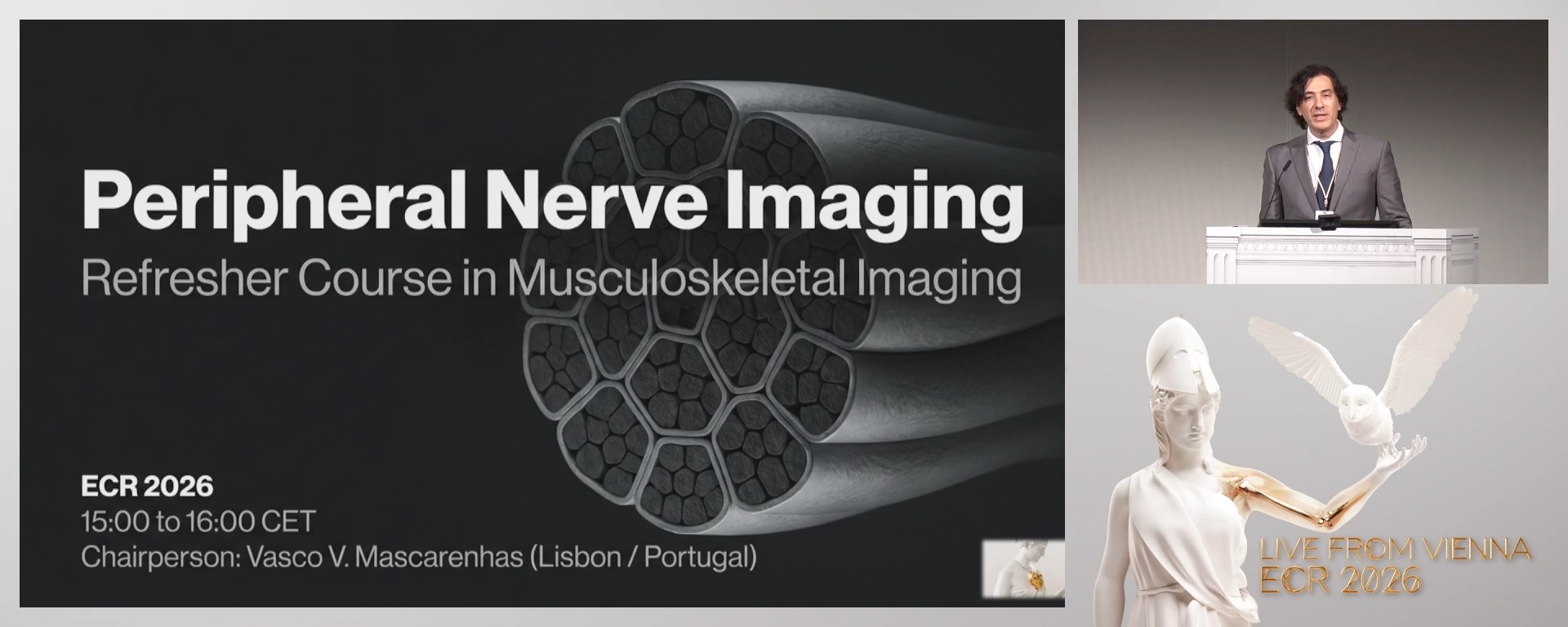 Chairperson's introduction