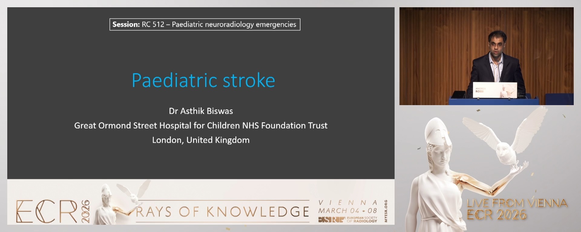 Paediatric stroke