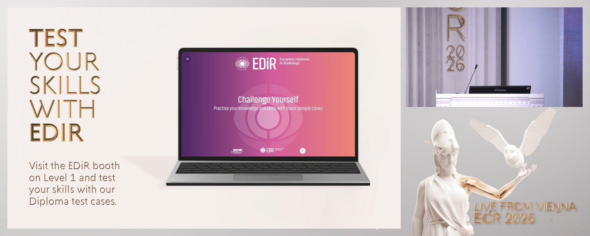 Chairperson's introduction