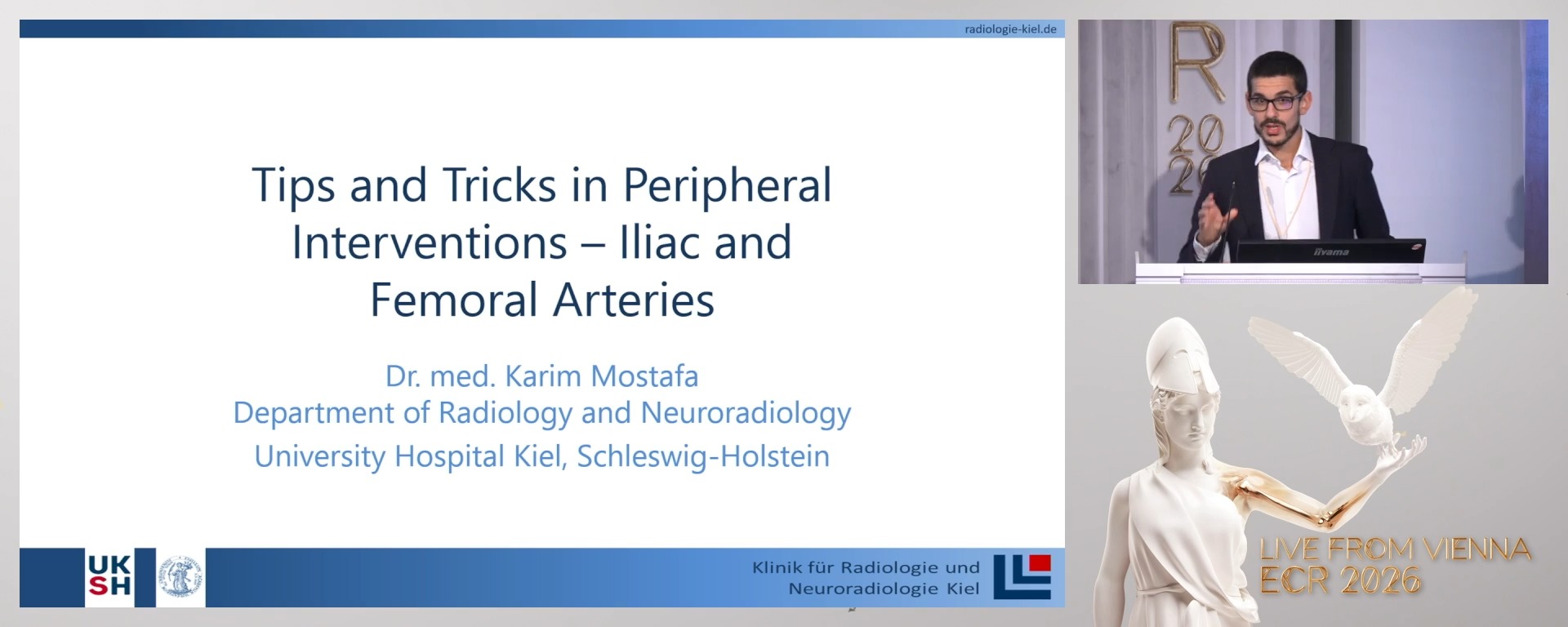 Iliofemoral arteries