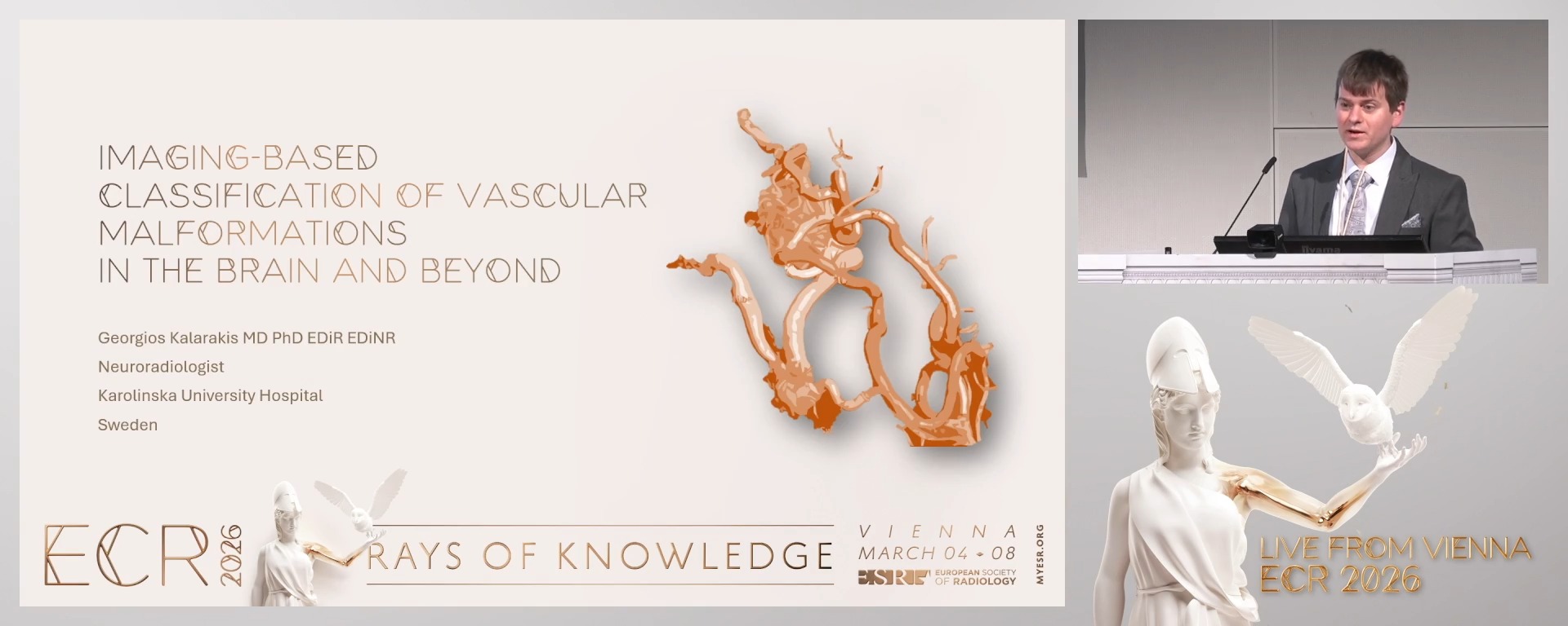 Imaging-based classification of vascular malformations in the brain and beyond