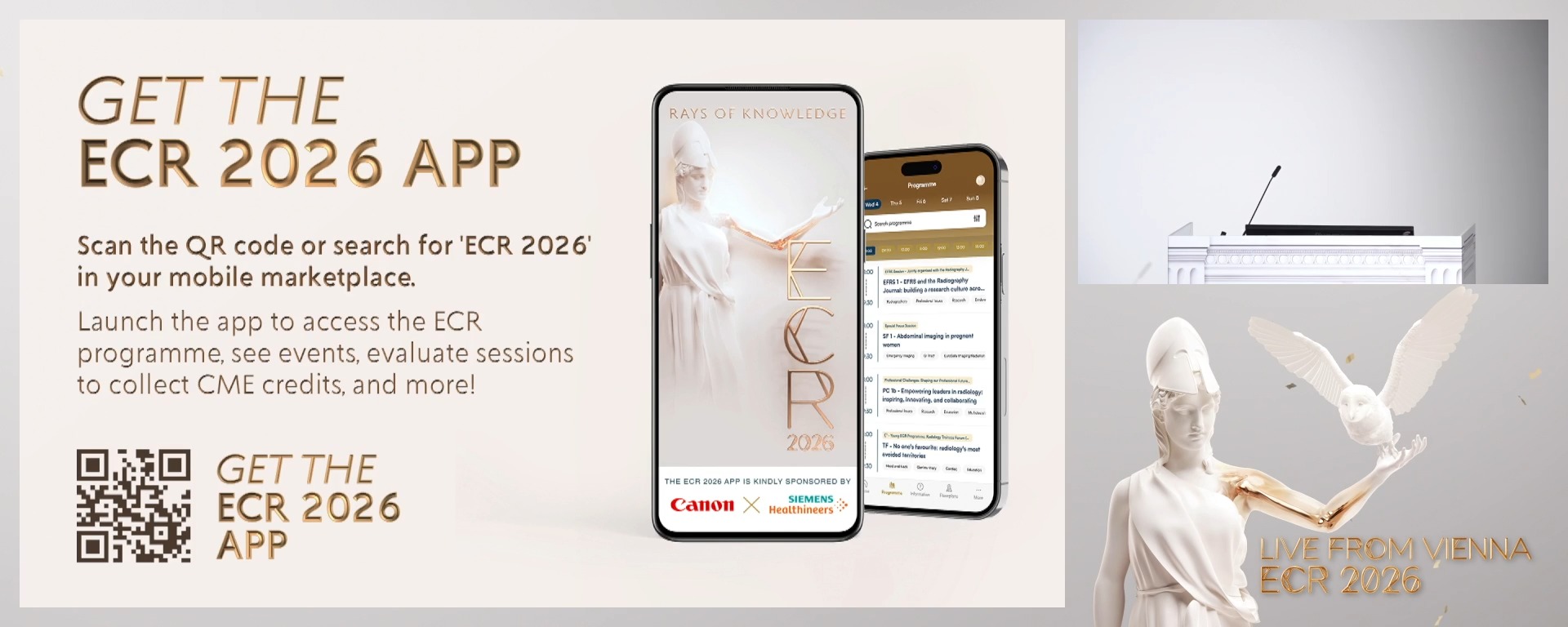 Chairperson's introduction