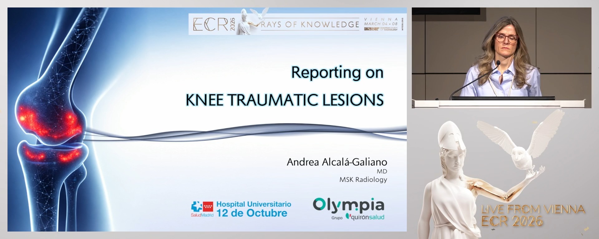 Reporting on knee traumatic lesions