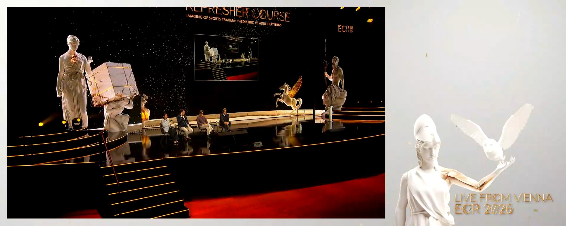 Panel discussion: What is the best technique to assess sports trauma in children and adults