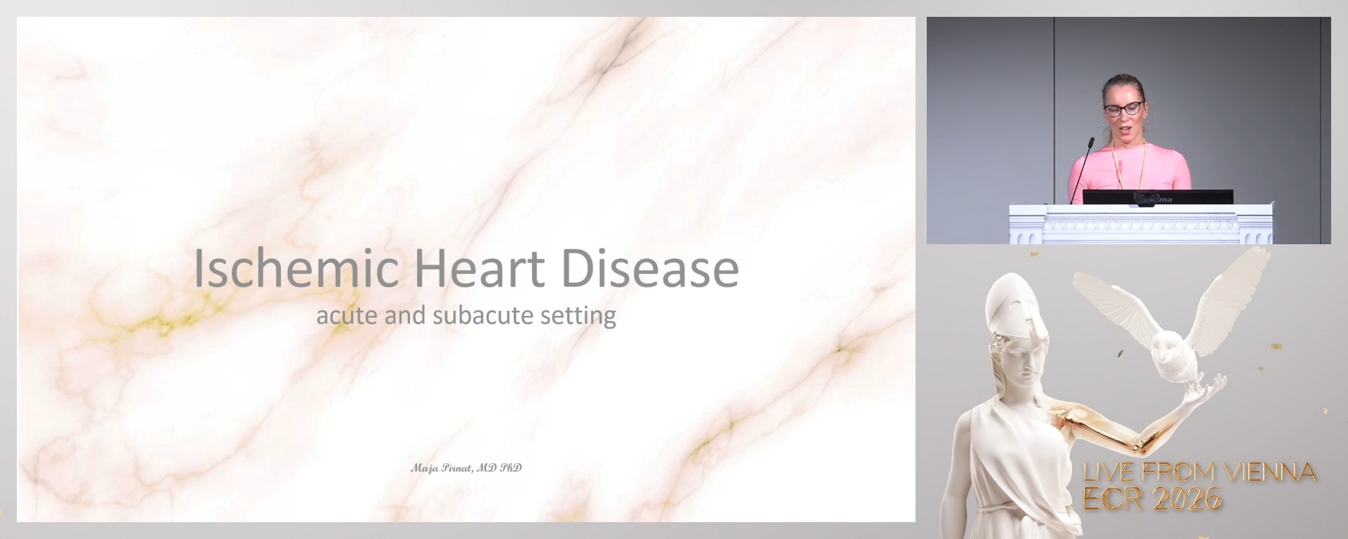 Chairperson's introduction