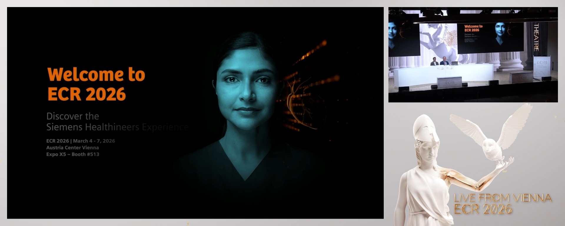 Chairpersons' introduction