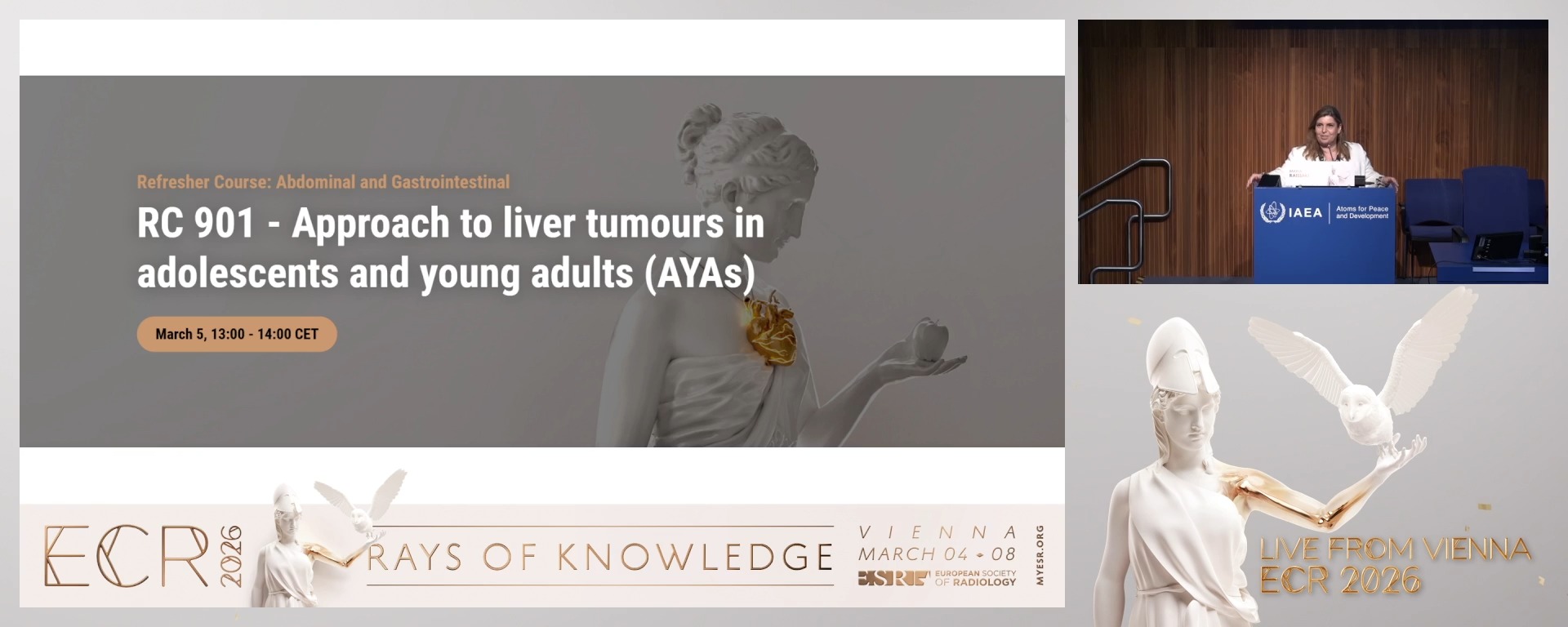 Chairpersons' introduction