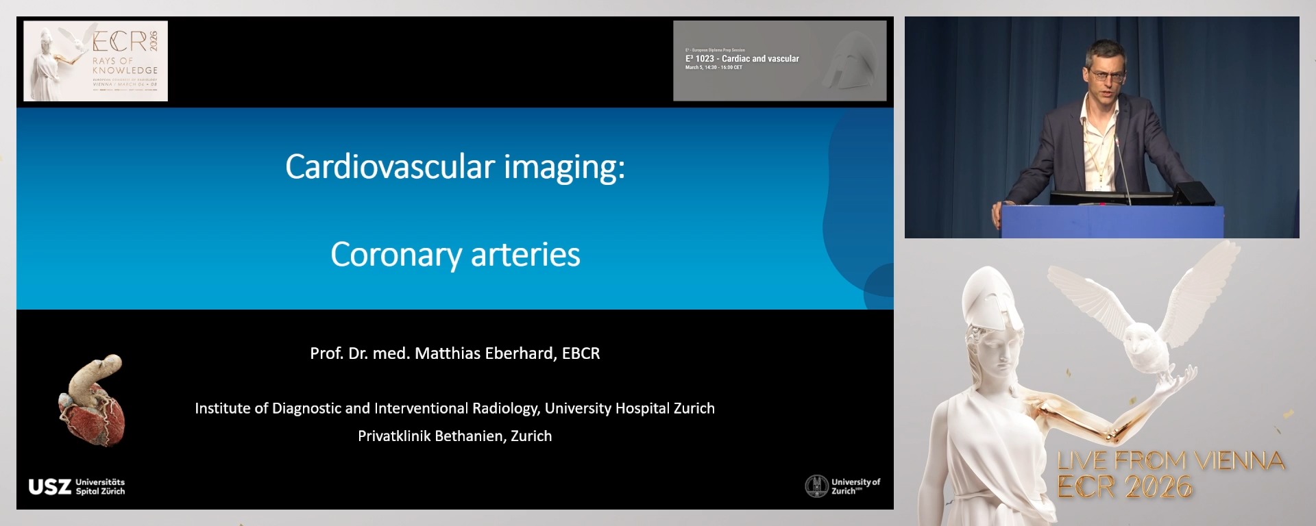 Cardiovascular imaging: coronary arteries