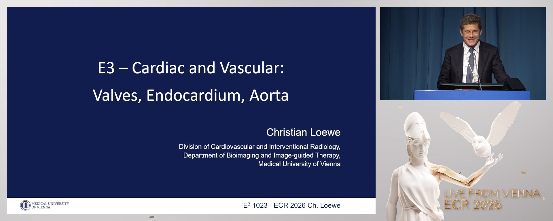 Cardiovascular imaging: valves, endocardium, and aorta