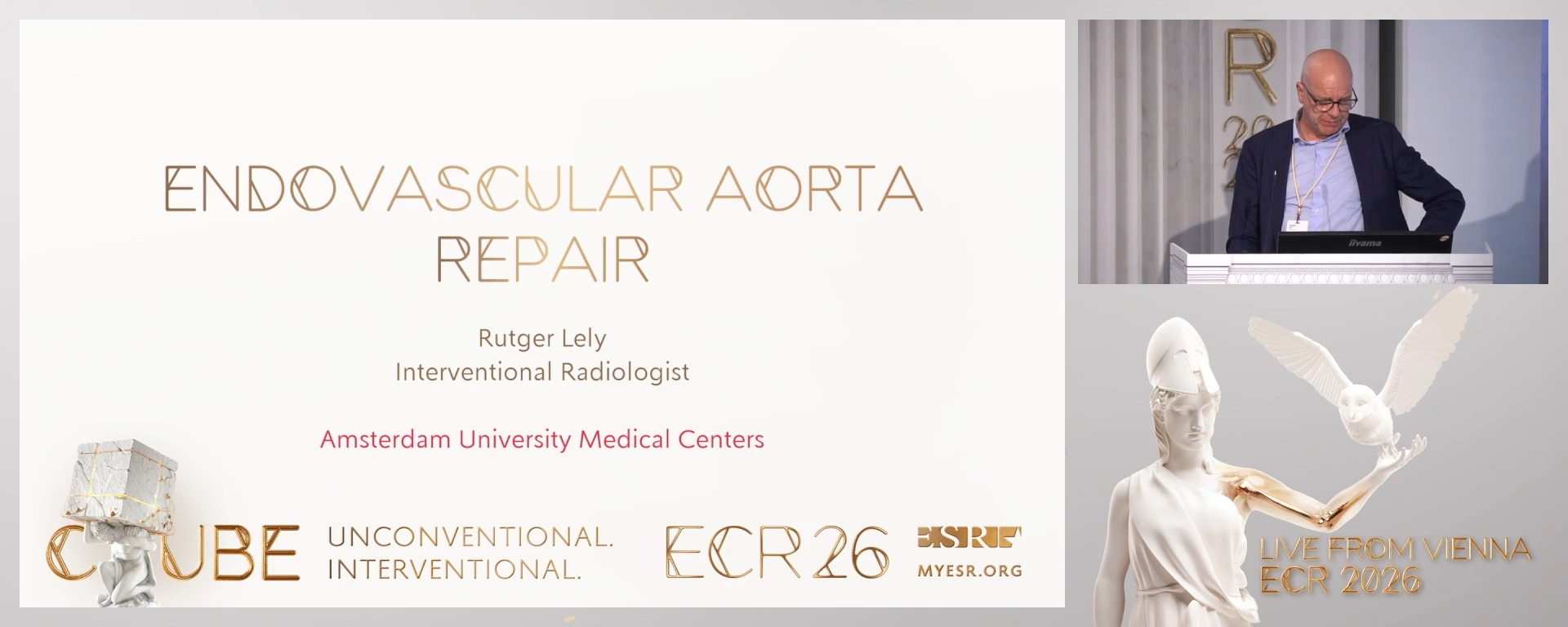 Endovascular aorta repair