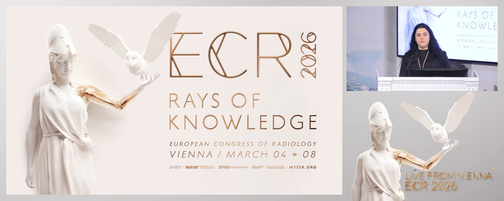 Chairperson's introduction