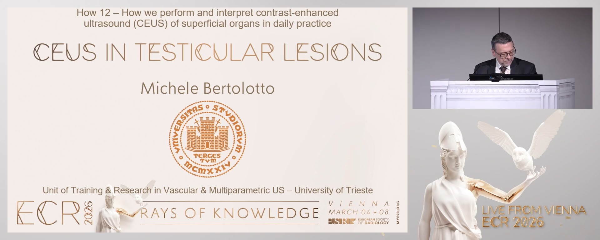 CEUS in testicular lesions