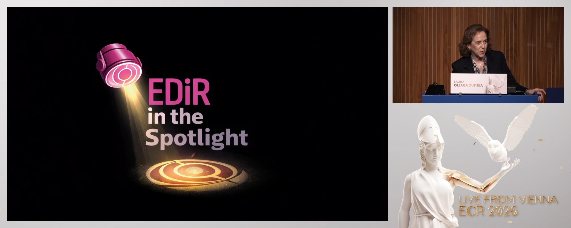 Chairperson's introduction