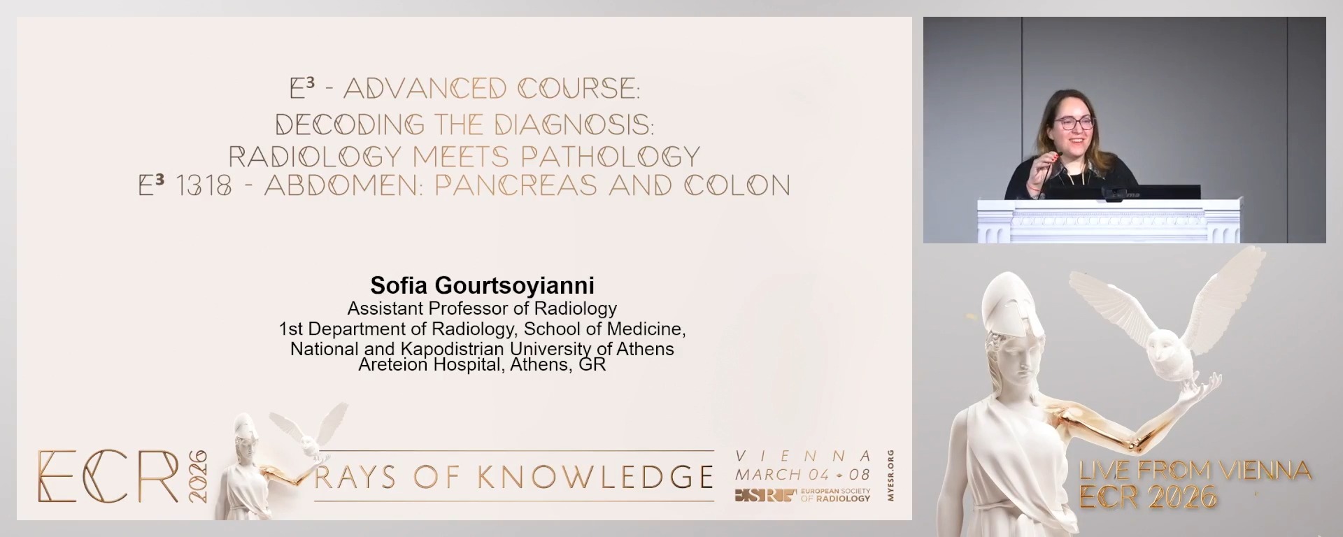 Chairperson's introduction