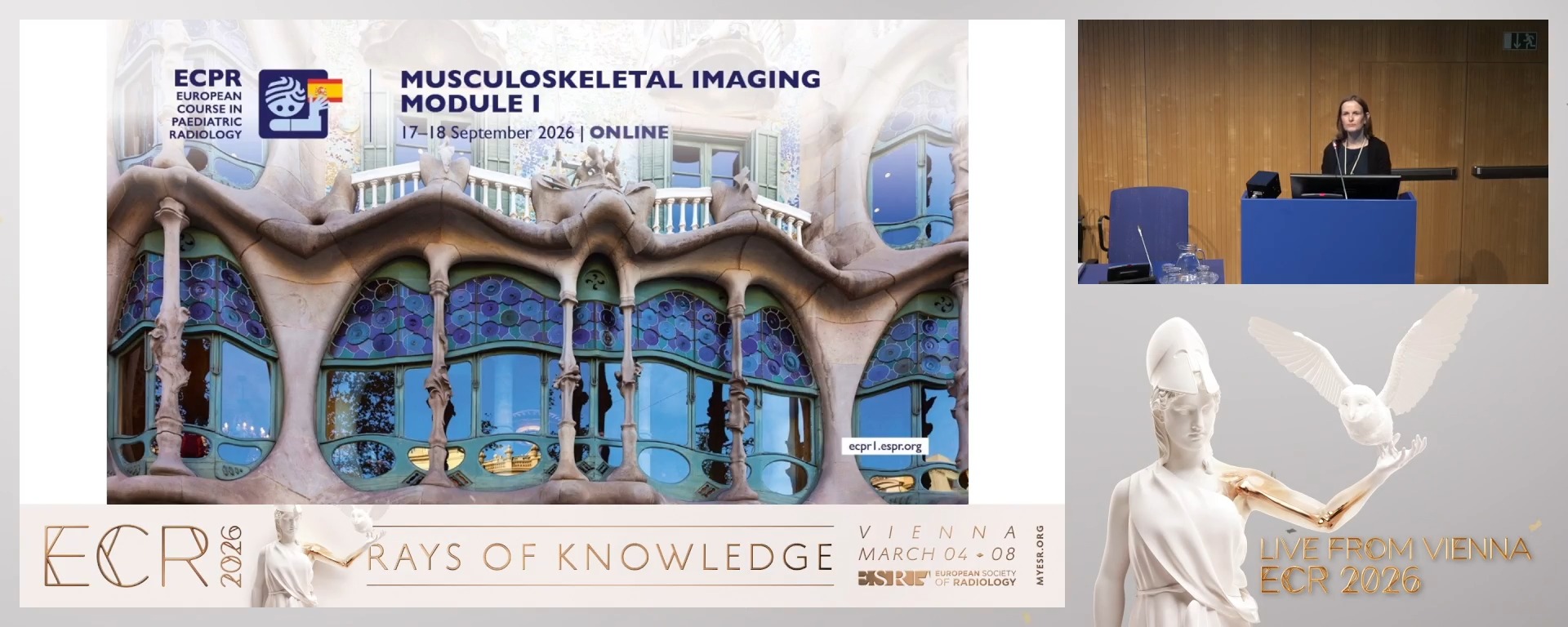 Chairperson's introduction