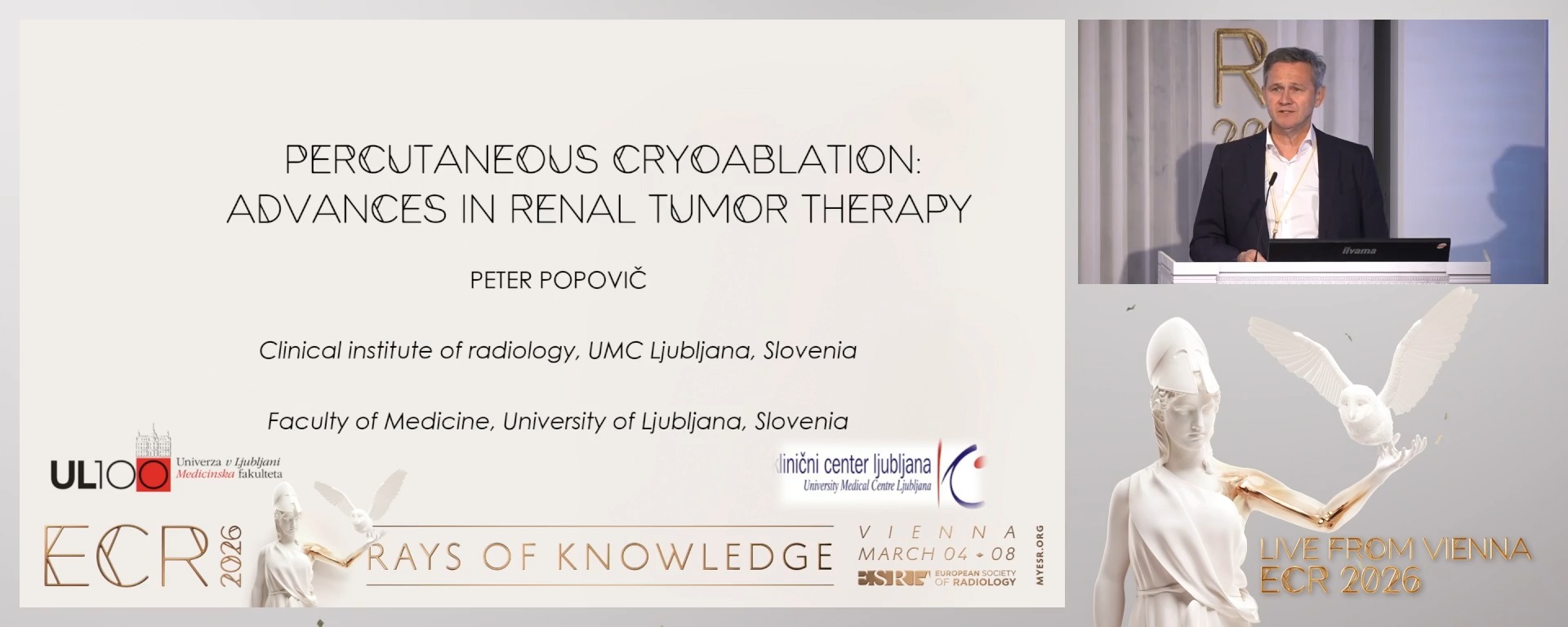 Percutaneous cryoablation: advances in renal tumour therapy