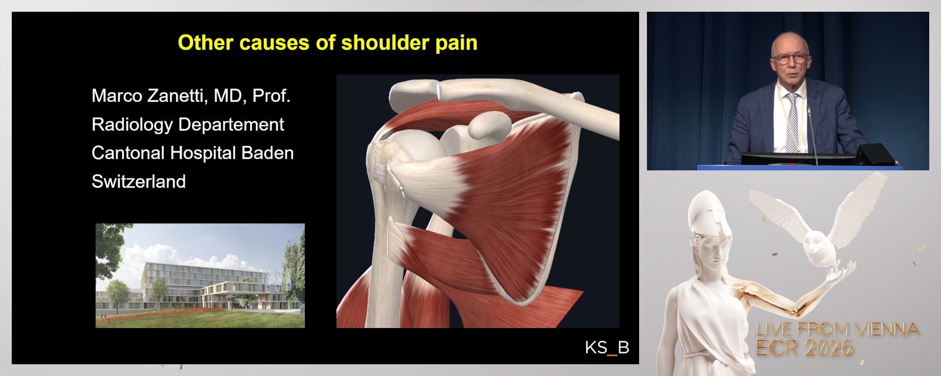 Other causes of shoulder pain